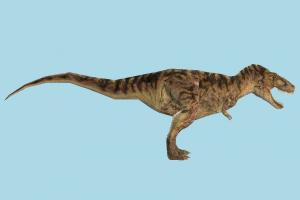 Tyrannosaurus dinosaur, wild, nature, animal, animals, mammal, jungle
