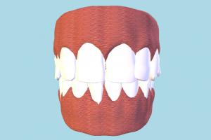 Teeth and Tongue teeth, tongue, human, medical, anatomy, dinosaur, anatomization, dissection, vivisection, autopsy, study, bones, skull