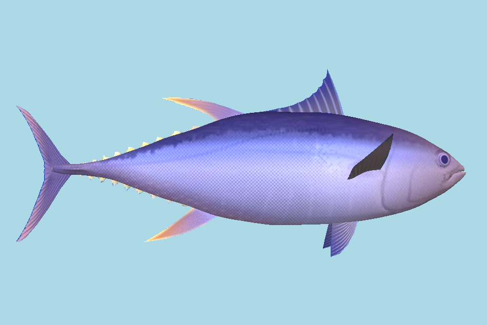Fish 3d model