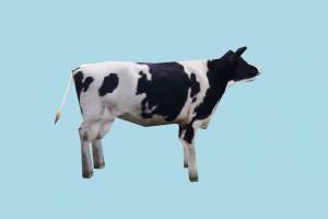 Cow mdl, hlmdl, halflife, animal, animated, cow