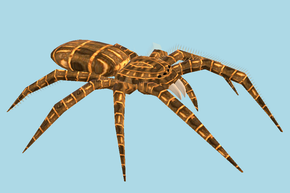 Spider 3d model
