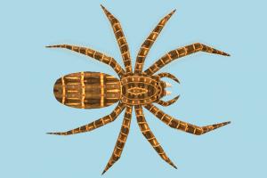 Spider Spider-2