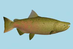 Fish fish, sea-creature, fishing, sea