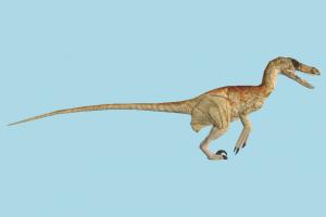Velociraptor dinosaur, wild, nature, animal, animals, mammal