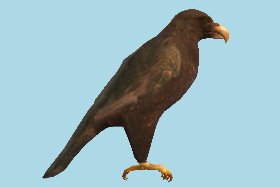Eagle 3d model