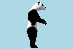 Panda Panda-2