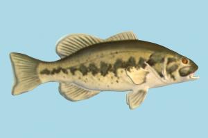 Fish fish, sea-creature, fishing, sea