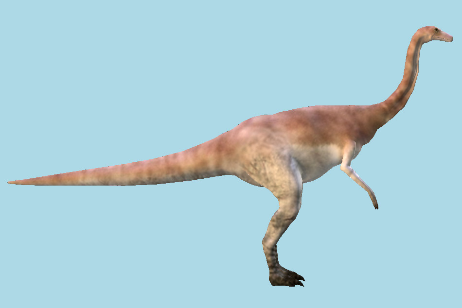 Gallimimus 3d model