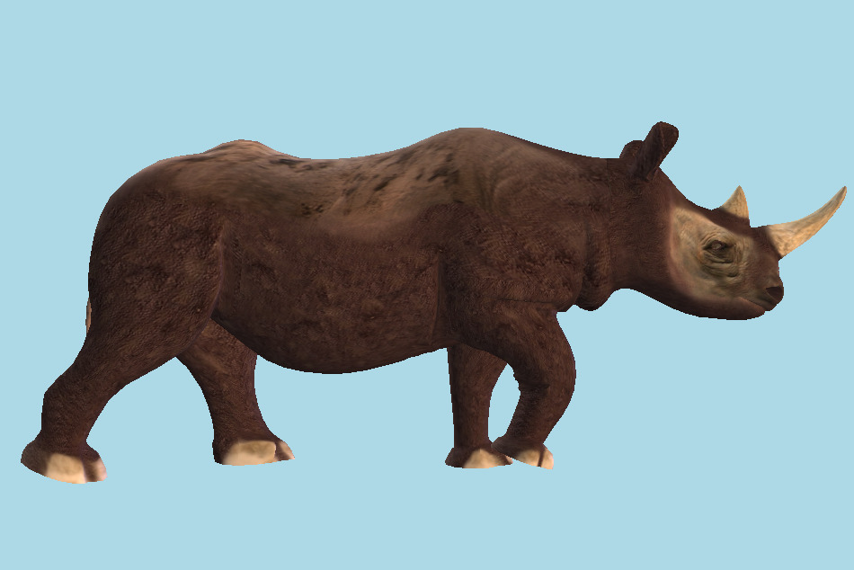 Rhinoceros Wild Animal 3d model