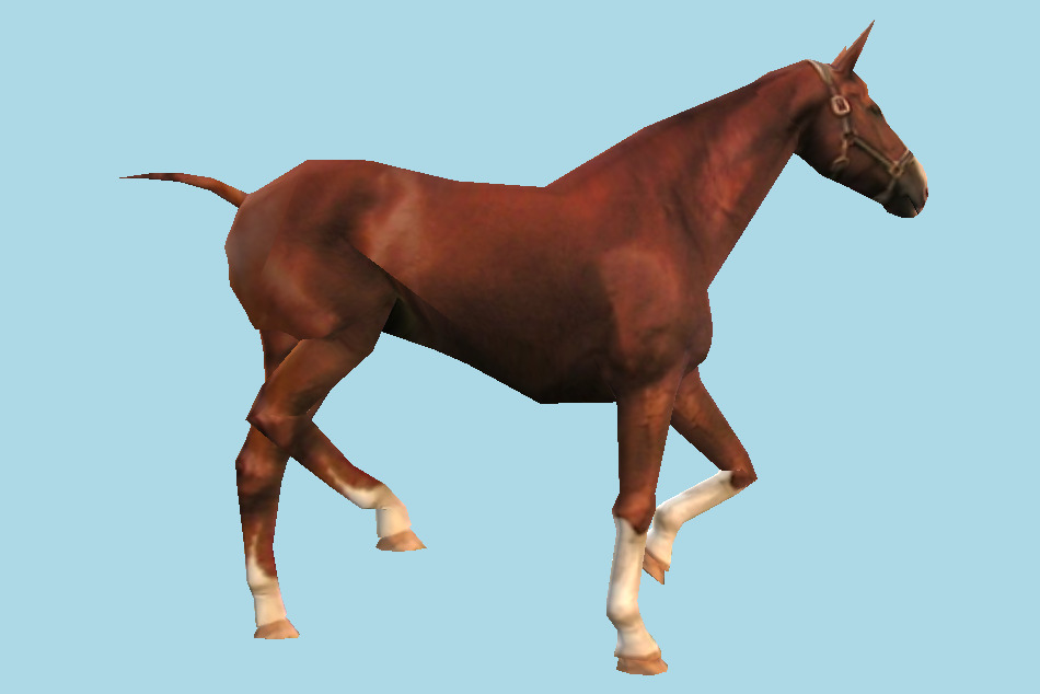 Horse Animal 3d model