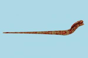 Snake snake, serpent, reptiles, evil, worm, nature, monster, bloody