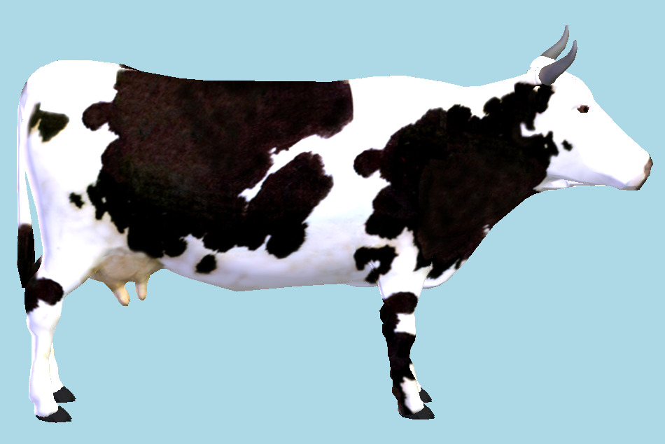 Cow Animal 3d model