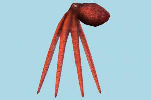 Octopus octopus, sea-creature, fishing, cephalopods, octopod, ocean, aquarium, tentacle, aquatic, mollusc, sea, eight-limbed, soft-bodied