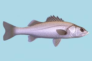 Fish fish, sea-creature, fishing, sea