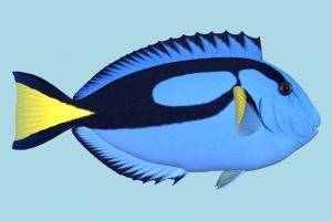 Fish fish, sea-creature, fishing, sea