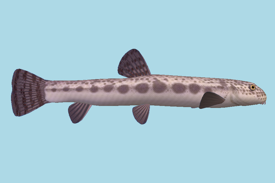 Sdozyou Fish 3d model