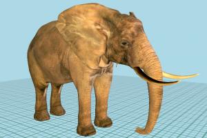 Elephant Elephant-2