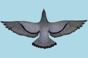 Pigeon Pigeon-2