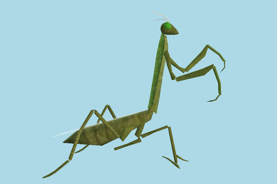 Mantis 3d model