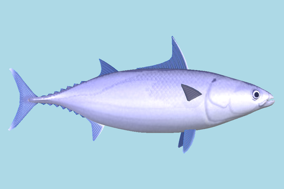 Fish 3d model