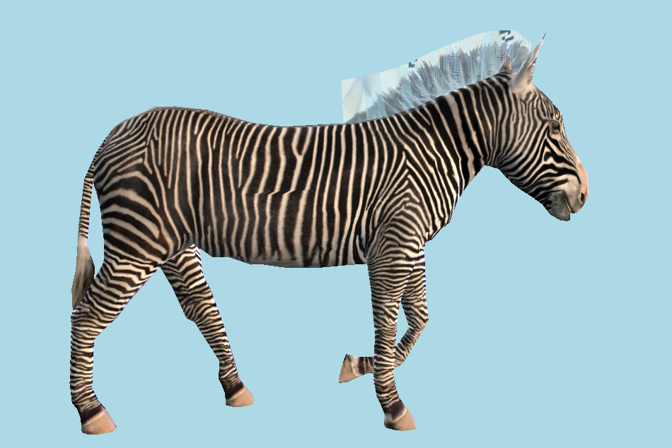 Zebra 3d model