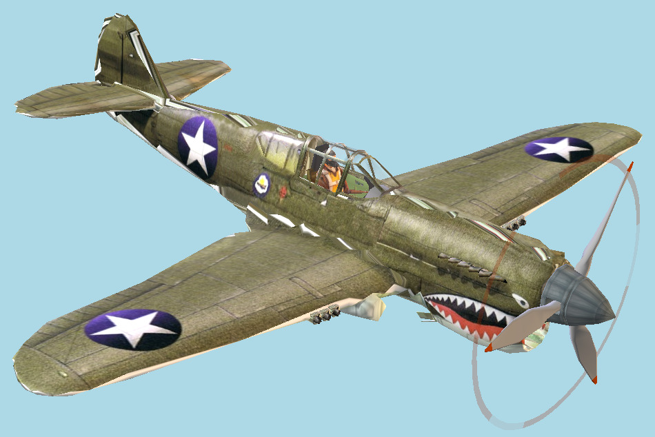 P40 Curtis Warbird 3d model