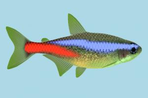 Fish fish, sea-creature, fishing, sea