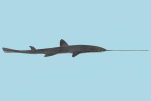 Sawshark sawshark, swordfish, shark, saw, sea-creature, fish, ocean, sea, animals, atlantic, realistic, nature