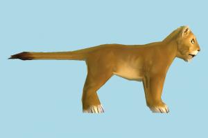 Lion lion, animal, animals, cartoon, lowpoly