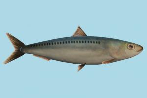 Fish fish, sea-creature, fishing, sea, ocean