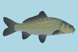 Fish fish, sea-creature, fishing, sea