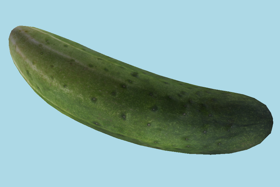Cucumber 3d model