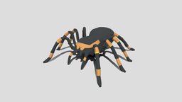 Low Poly Cartoon Tarantula insect, spider, venom, tarantula, dangerous, hairy, low-poly, cartoon, lowpoly, animal