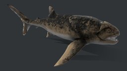 Dunkleosteus terrelli fish, fossil, extinct, dunkleosteus, placoderm
