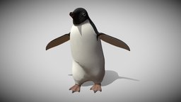 Walking Adelie Penguin cute, penguin, adelie-penguin, blender, walk, noai