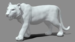 Tiger cat, tiger, feline, siberian, decoration