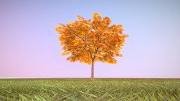 Kastanie 4 Meter tree, grass, baum, game-ready, blender-3d, chestnut, kastanie, herbst, vis-all-3d, 4-meter, baum-module-4, leaf-tree, low-poly, lowpoly, noai