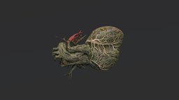 Bharti Kher heart, photogrametry, whale, photogrammetry, sculpture