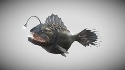 Deepsea Fish marine, fish, ocean, scary, goldfish, scales, water, deapsea, angler-fish