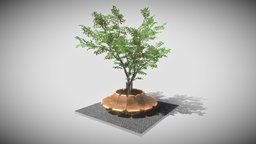 Round Bench with Citytree (Rowan) wooden, bench, version, rounded, blender-3d, rowan, cobblestone, park-bench, citytree, 3dhaupt, software-service-john-gmbh, sorbus-aucuparia, wooden-bench, round-bench, city-tree-grille