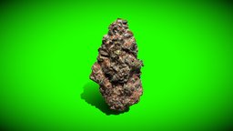Weed Nugget (8) plant, plants, medicinal, industry, culture, natural, leaf, cannabis, hemp, weed, medicine, drug, marijuana, botanical, herbal, sativa, nugget, buds, remedies, strains