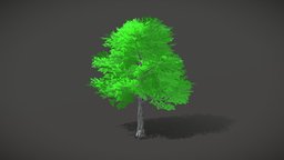 Anime Nature Tree 01 tree, manga, anime