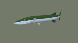 Barracuda fish, fishing, river, underwater, animals, lake, ocean, aquarium, aquatic, nature, barracuda, sealife, oceanlife, fish-cartoon, low-poly, animal, animated, simple, sea