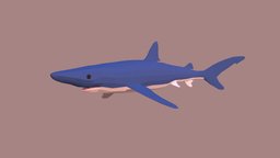 Blue Shark shark, fish, fishing, river, underwater, animals, lake, ocean, aquarium, aquatic, nature, sealife, blue-man, oceanlife, fish-cartoon, low-poly, animal, animated, simple, sea