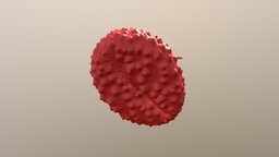 Knapweed pollen plants, pollen, 3dpollen