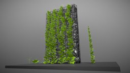 Vines tree, wine, vine, protection, grid, leafs, stein, modifier, graden, vis-all-3d, 3dhaupt, gabion, software-service-john-gmbh, gitter, gabions, gabion-baskets-welded-mesh, gabion-retaining-walls, stone-block-walls-design, weinstock, weinrebe, climbing-plants, array-modifier, curve-modifier, vines-climbing-plants, lowpoly, blender3d, stone, test, wall
