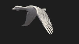 Duck bird, high, duck, print, statue, goose, poly, animal, sculpture, interior