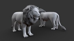 Lion africa, basemesh, animals, wild, mammal, lion, character, low-poly, game, blender, animal