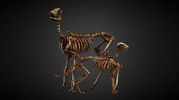 Roe Deer and Fox skeleton, gamedev, game-ready, zombies, skeletons, game-asset, game-model, zombieapocalypse, zombie-creature, game, gameasset, gamemodel, gameready, zombie, skeleton-parts, skeleton-skull-character-game-character