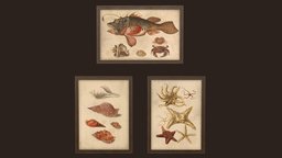 Pictures frame, lab, laboratory, painting, aaa, picture, realistic, science, pictureframe, free3dmodel, ue4, unrealengine4, canvas, freedownload, botanical, freemodel, walldecor, aaa-game-model, unity, home, free, decoration, gameready
